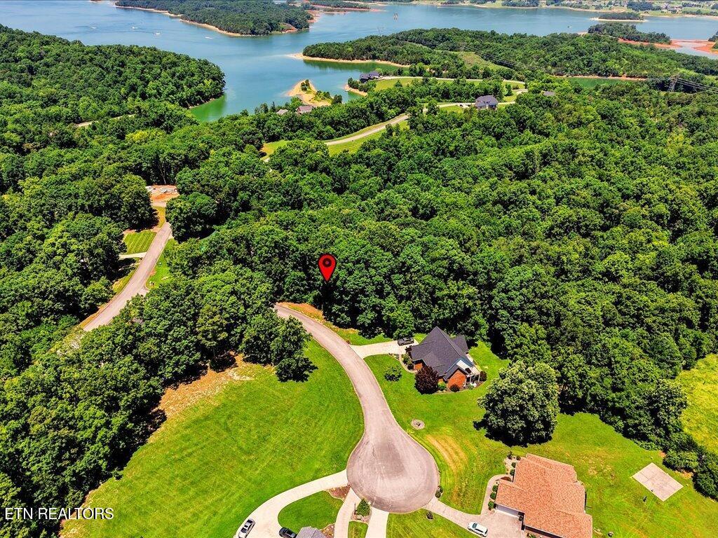 6519 Smoky Mountain Court Russellville TN 37860