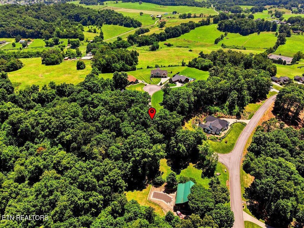 6519 Smoky Mountain Court Russellville TN 37860