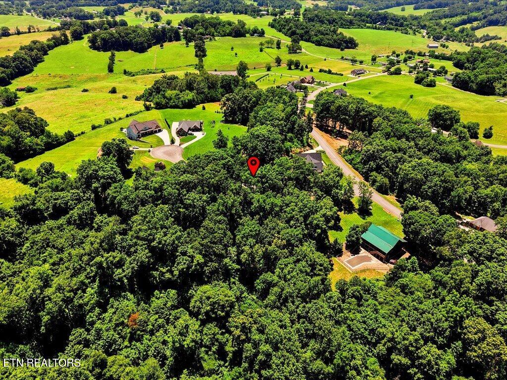 6519 Smoky Mountain Court Russellville TN 37860
