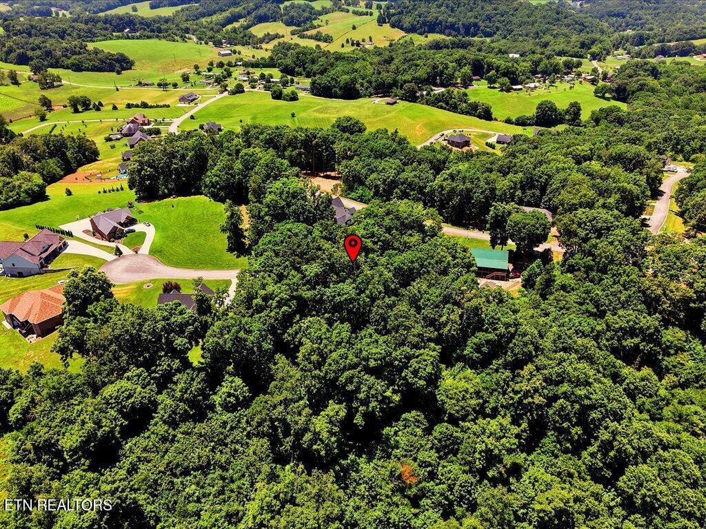 6519 Smoky Mountain Court Russellville TN 37860