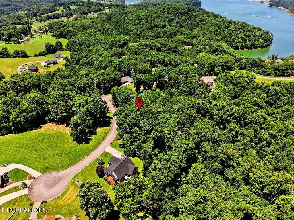 6519 Smoky Mountain Court Russellville TN 37860