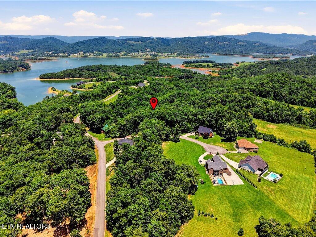 6519 Smoky Mountain Court Russellville TN 37860