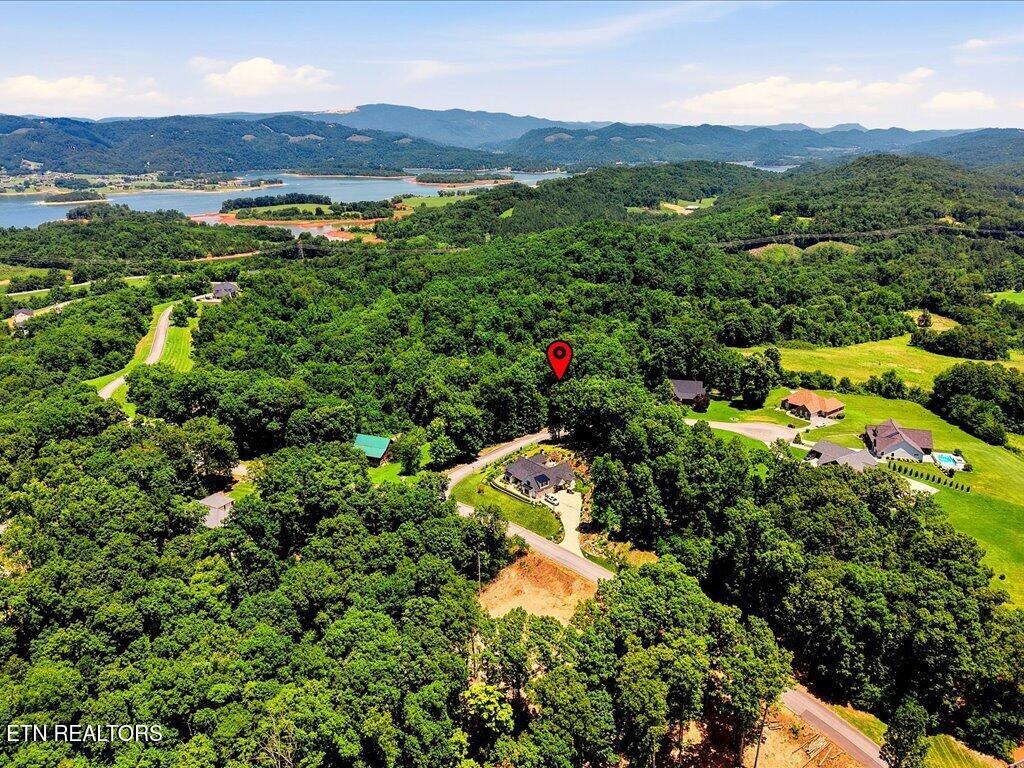6519 Smoky Mountain Court Russellville TN 37860
