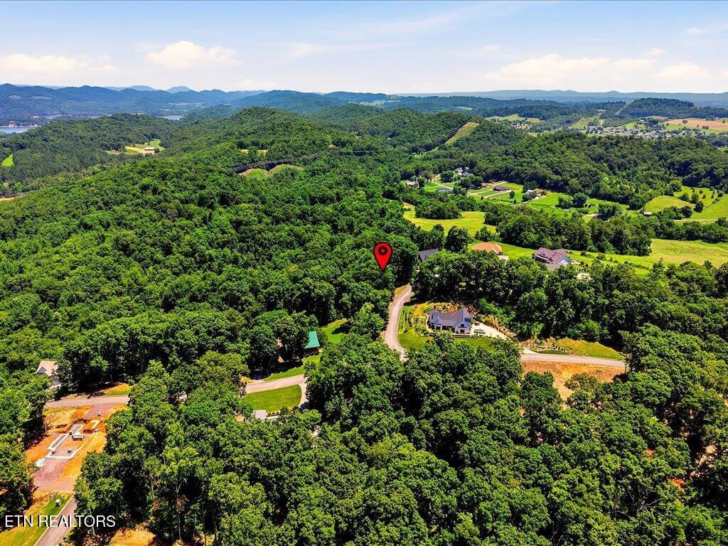 6519 Smoky Mountain Court Russellville TN 37860