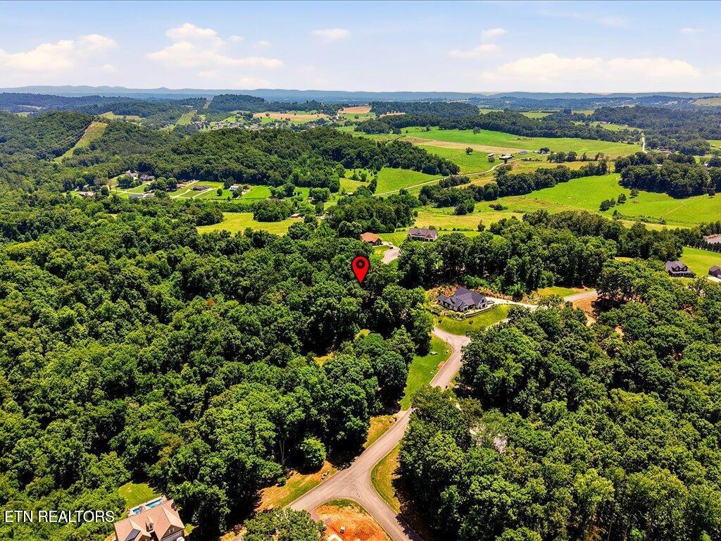 6519 Smoky Mountain Court Russellville TN 37860