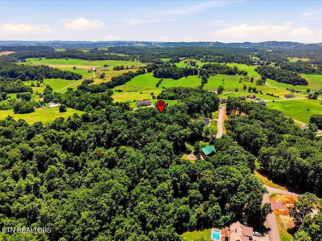 6519 Smoky Mountain Court Russellville TN 37860