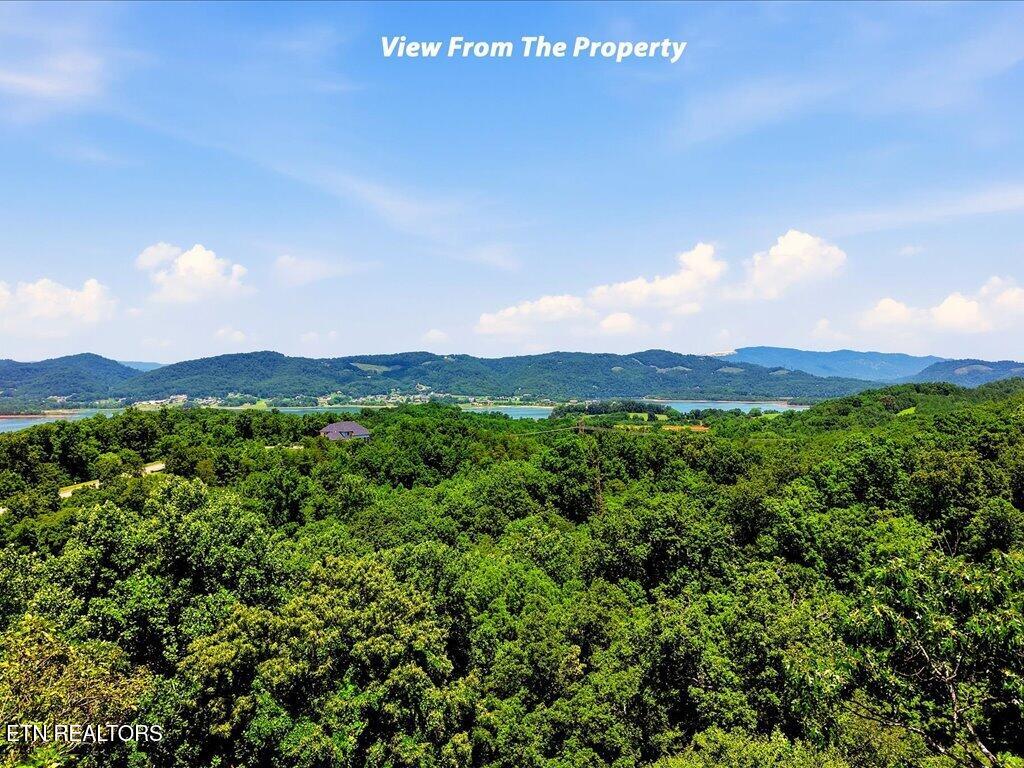 6519 Smoky Mountain Court Russellville TN 37860