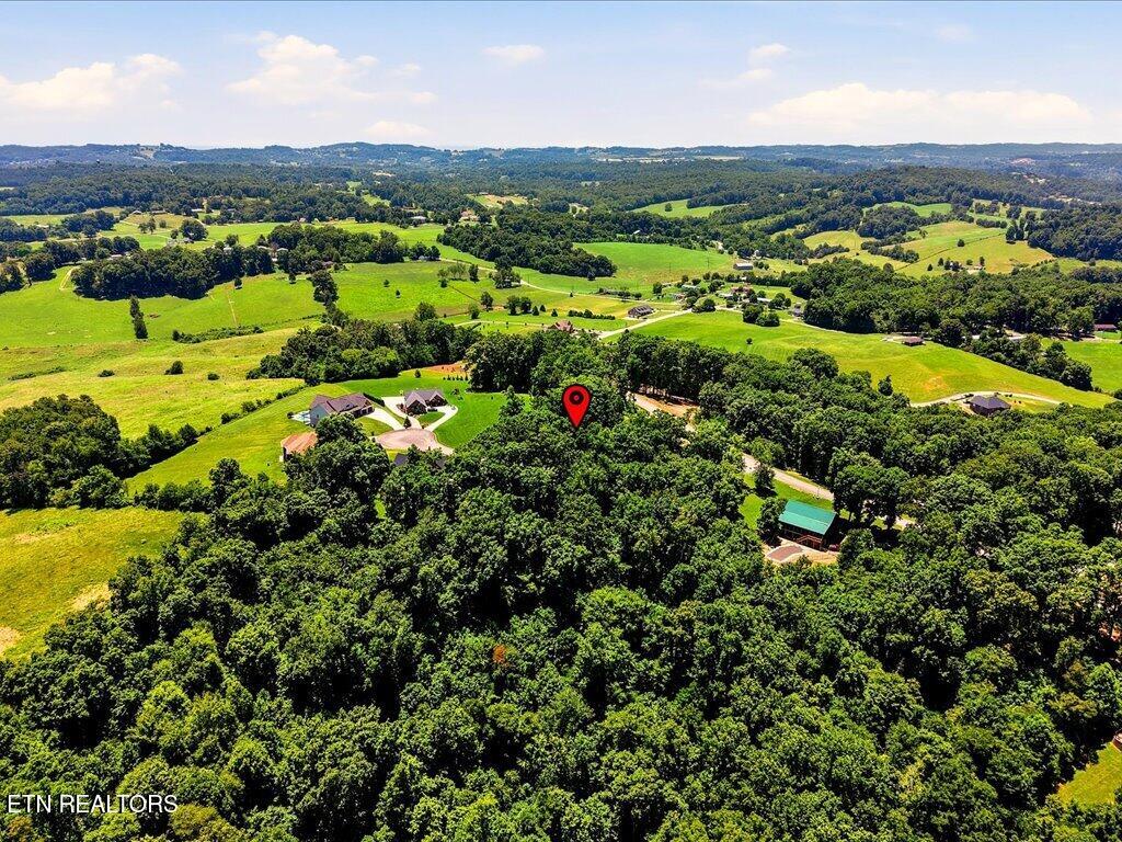 6519 Smoky Mountain Court Russellville TN 37860