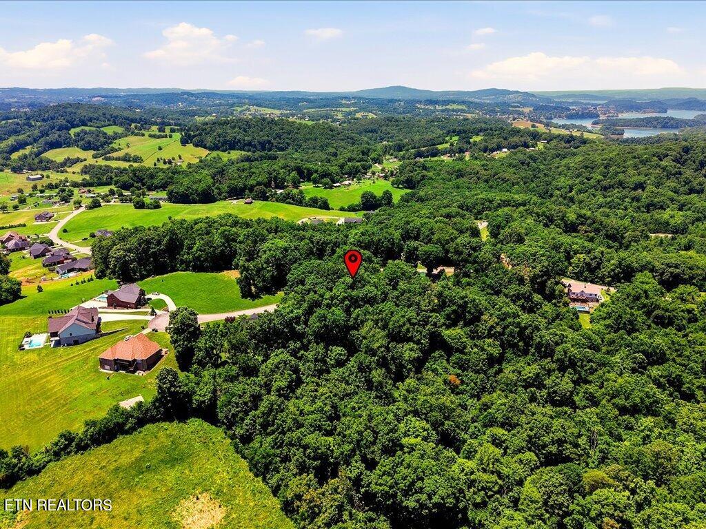 6519 Smoky Mountain Court Russellville TN 37860