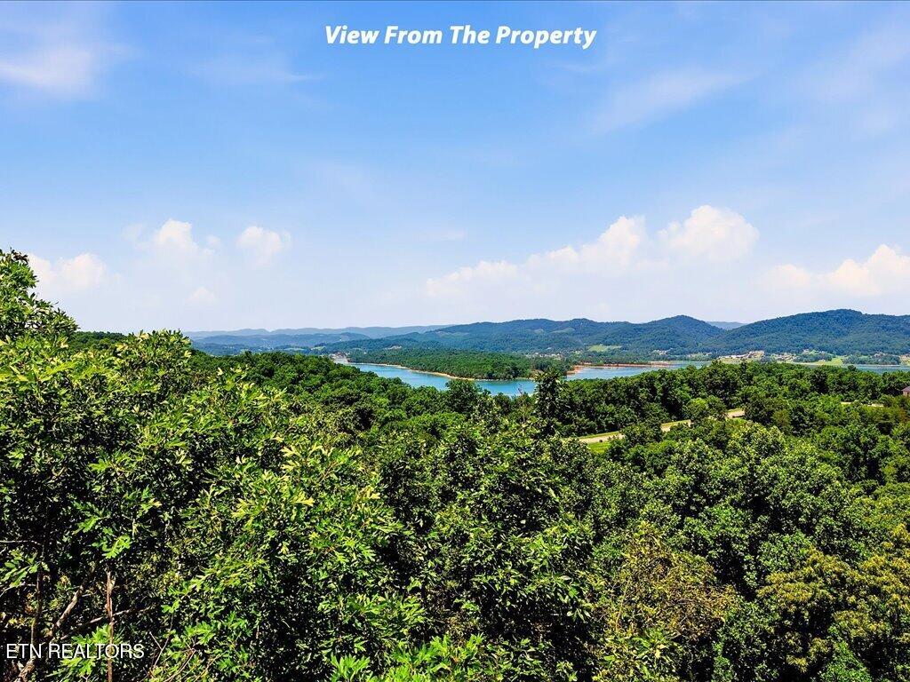 6519 Smoky Mountain Court Russellville TN 37860
