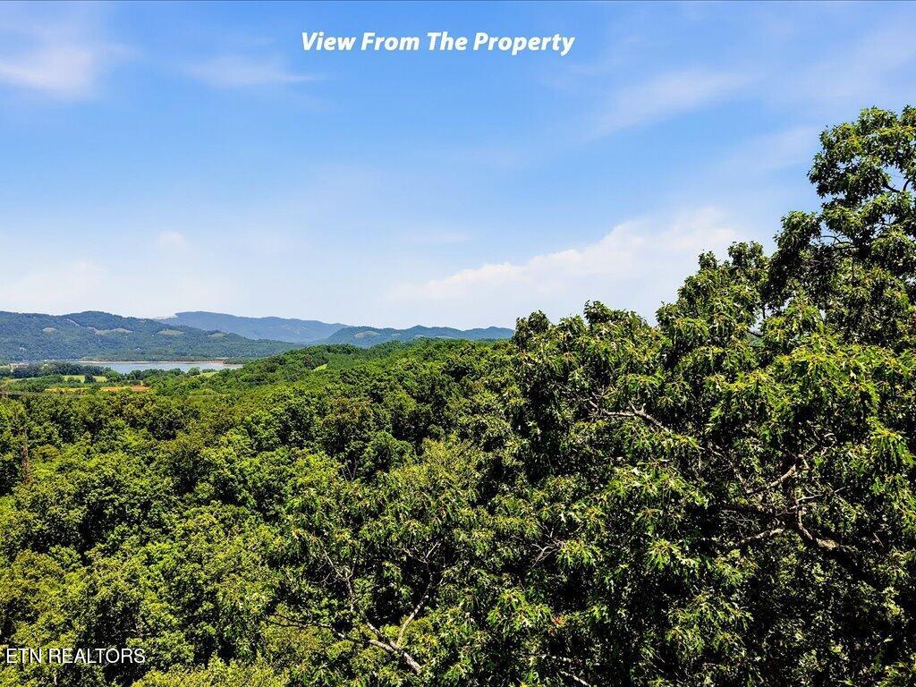 6519 Smoky Mountain Court Russellville TN 37860