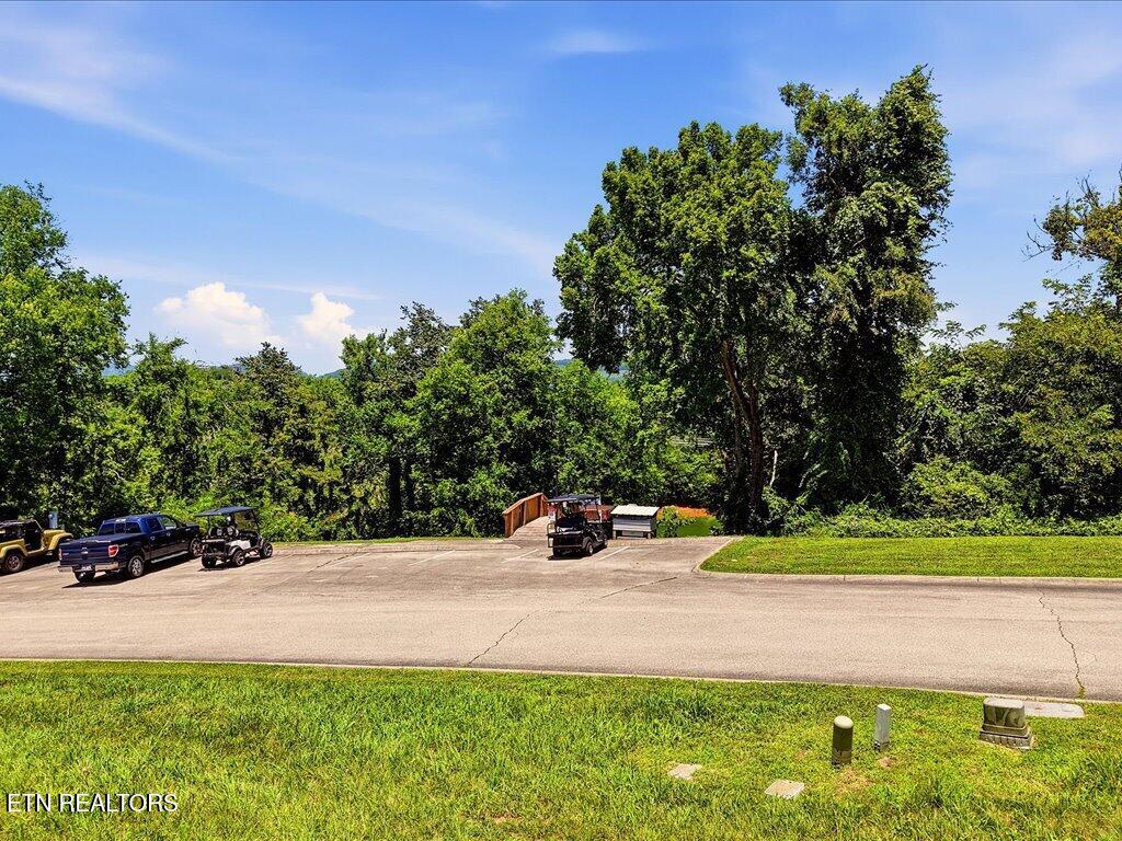 6519 Smoky Mountain Court Russellville TN 37860