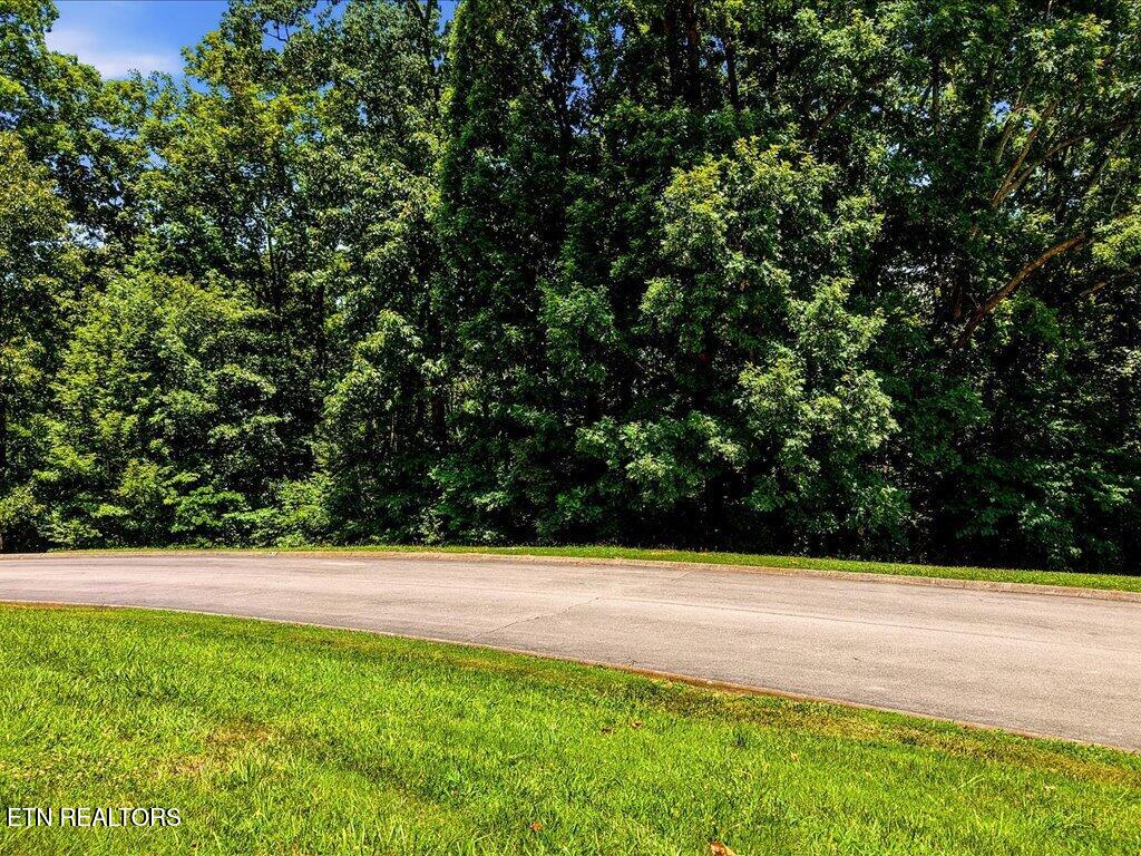 6519 Smoky Mountain Court Russellville TN 37860