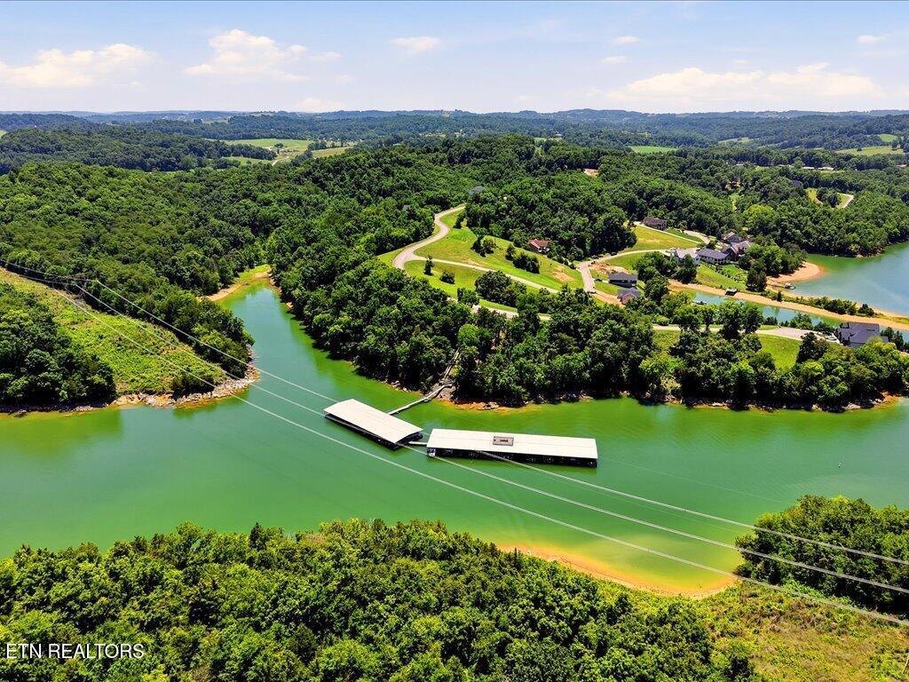 6519 Smoky Mountain Court Russellville TN 37860