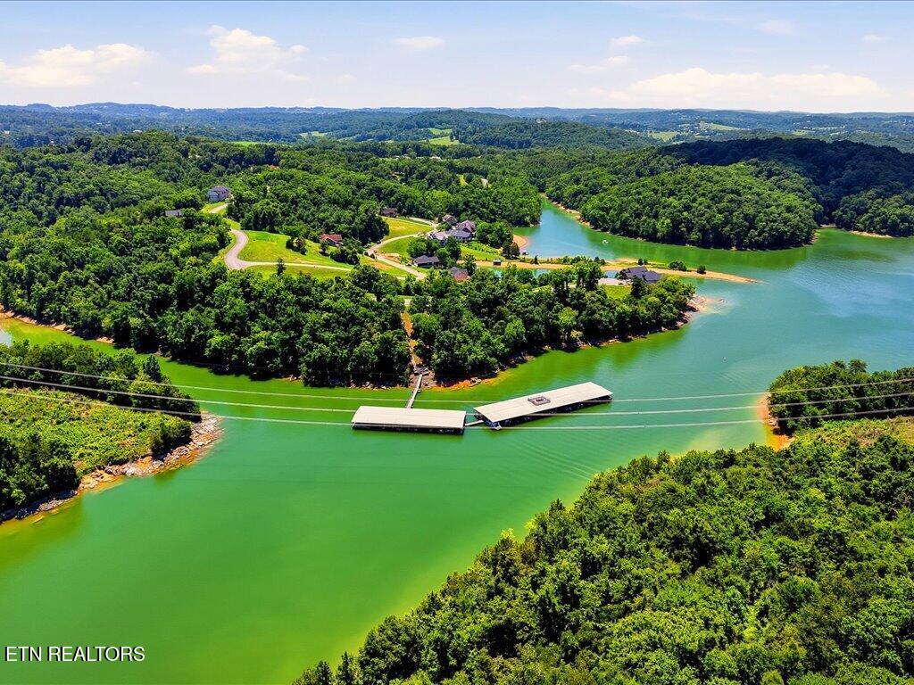 6519 Smoky Mountain Court Russellville TN 37860