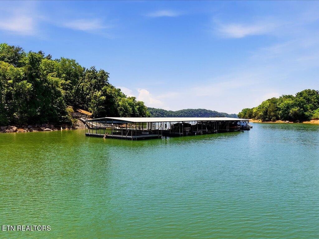 6519 Smoky Mountain Court Russellville TN 37860