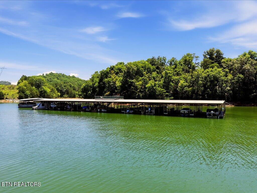6519 Smoky Mountain Court Russellville TN 37860