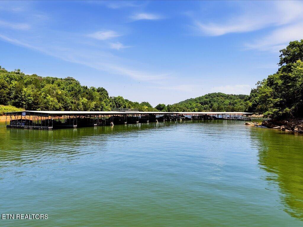 6519 Smoky Mountain Court Russellville TN 37860