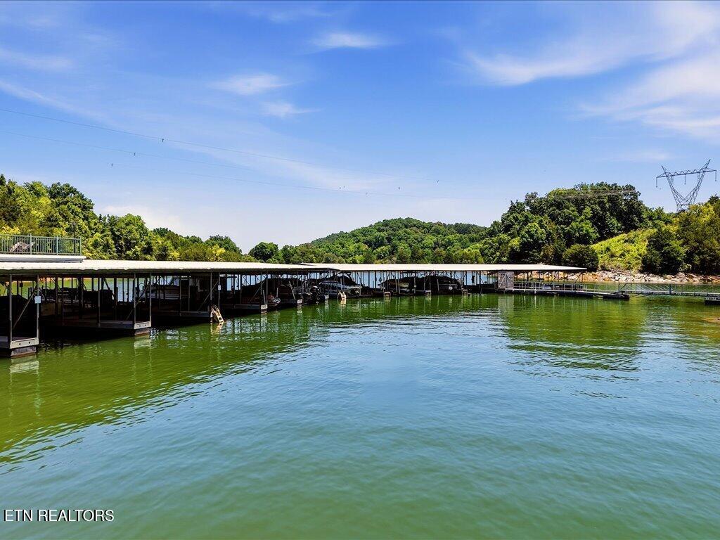 6519 Smoky Mountain Court Russellville TN 37860