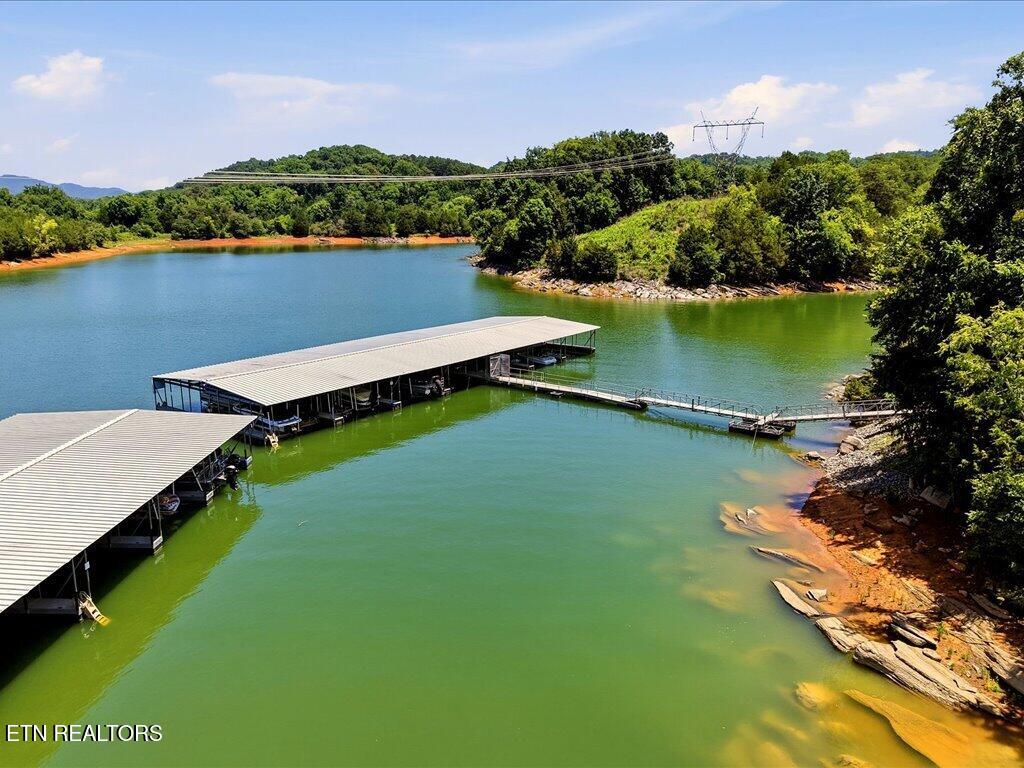 6519 Smoky Mountain Court Russellville TN 37860