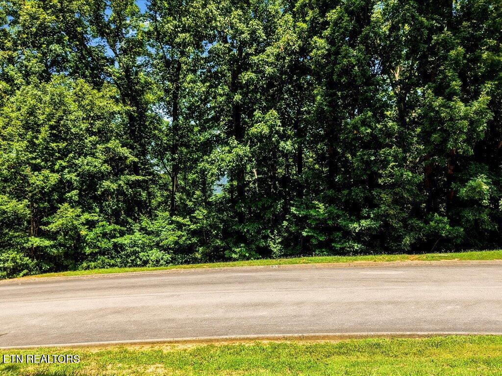6519 Smoky Mountain Court Russellville TN 37860