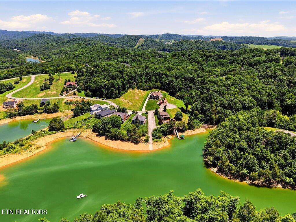 6519 Smoky Mountain Court Russellville TN 37860