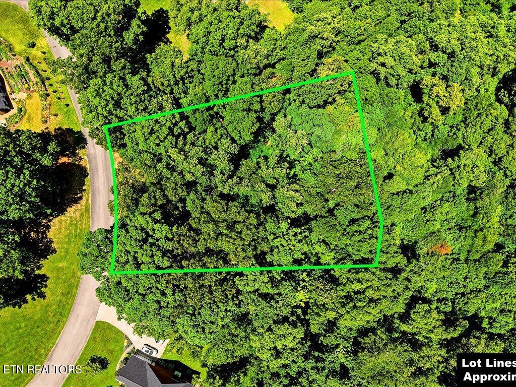 6519 Smoky Mountain Court Russellville TN 37860
