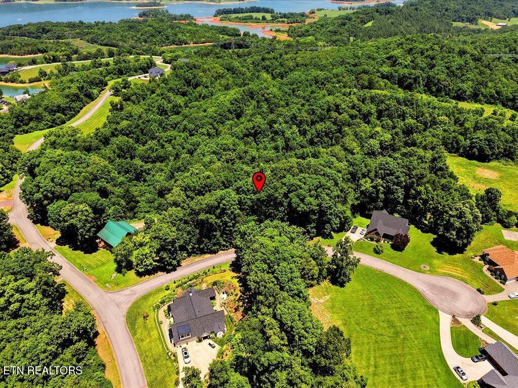 6519 Smoky Mountain Court Russellville TN 37860