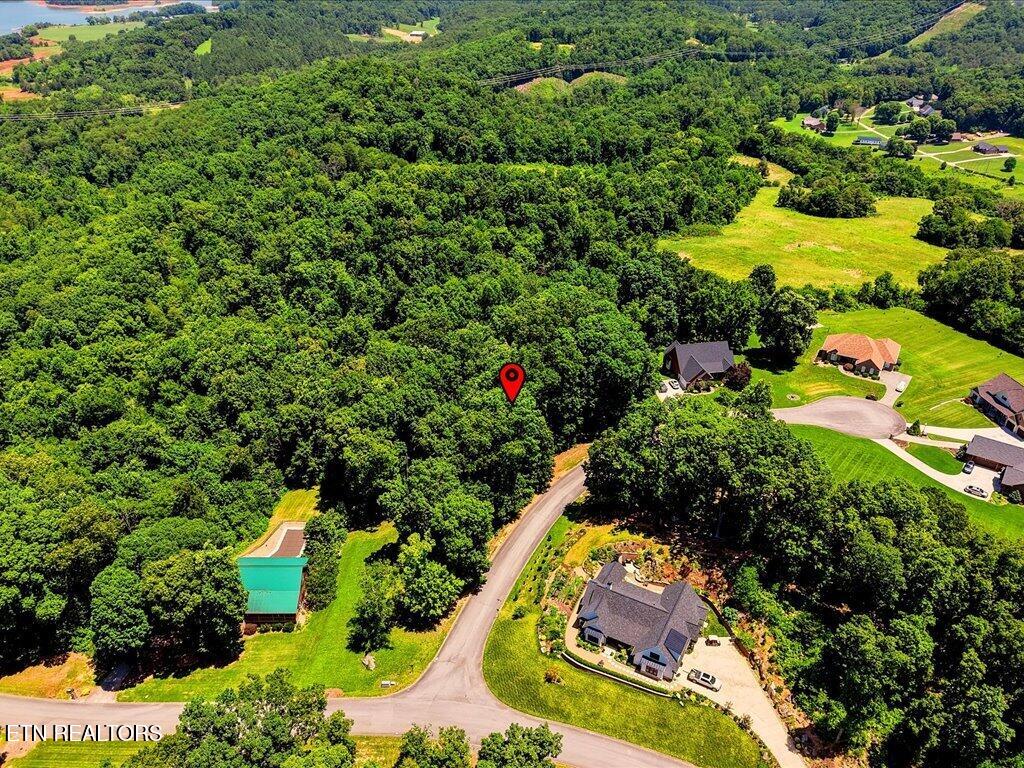 6519 Smoky Mountain Court Russellville TN 37860