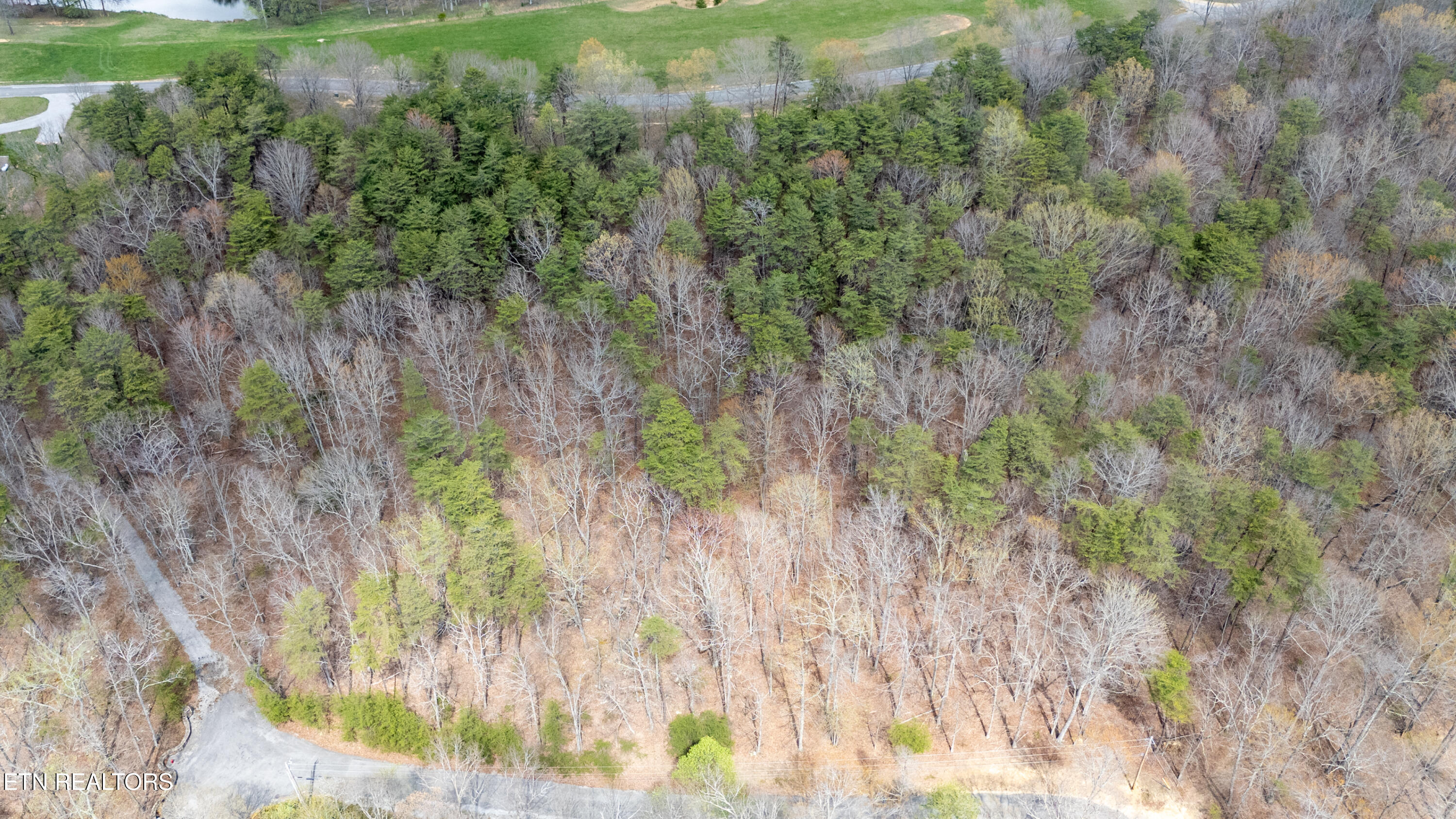 0 High Meadow Drive Spencer TN 38585