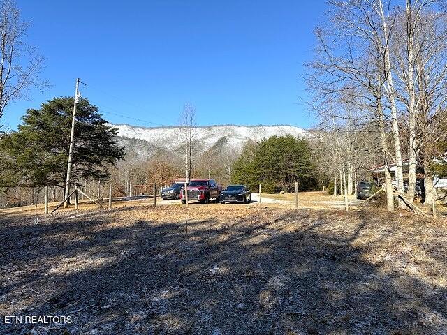 Under The Sun Road Cosby TN 37722