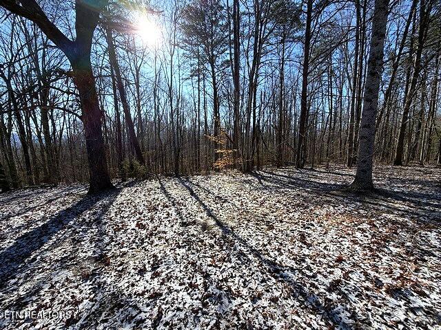 Under The Sun Road Cosby TN 37722