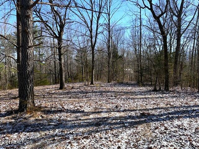 Under The Sun Road Cosby TN 37722