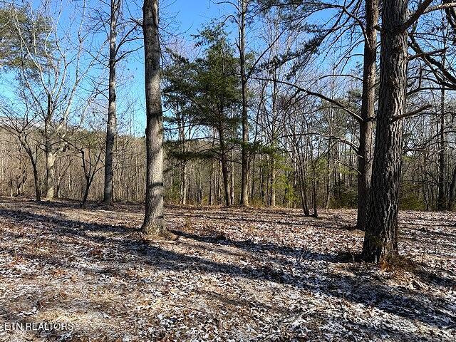 Under The Sun Road Cosby TN 37722