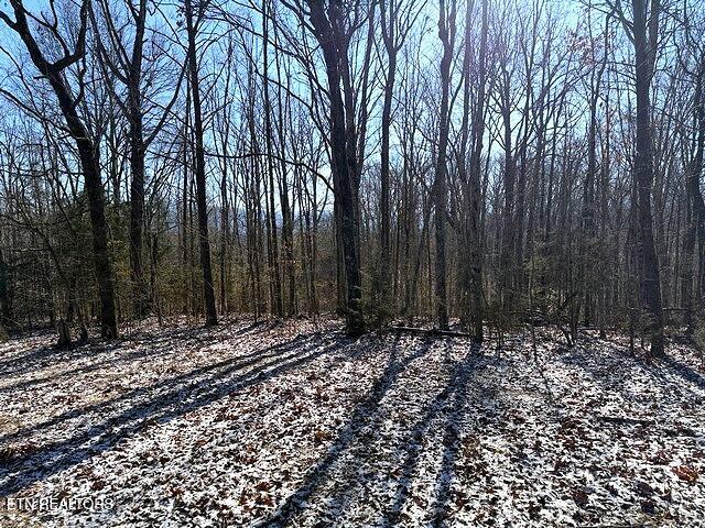 Under The Sun Road Cosby TN 37722