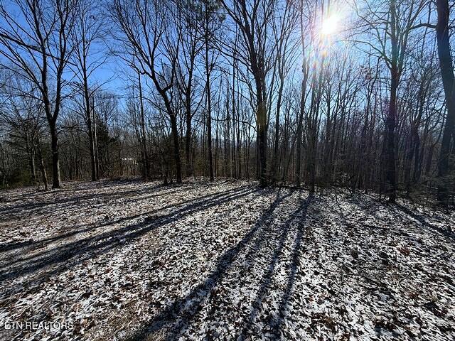 Under The Sun Road Cosby TN 37722