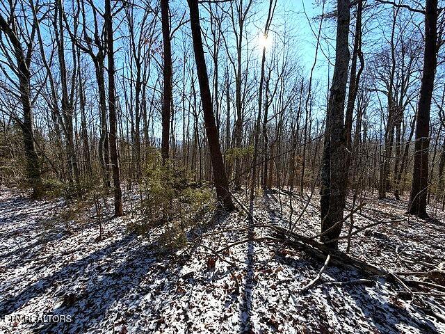 Under The Sun Road Cosby TN 37722