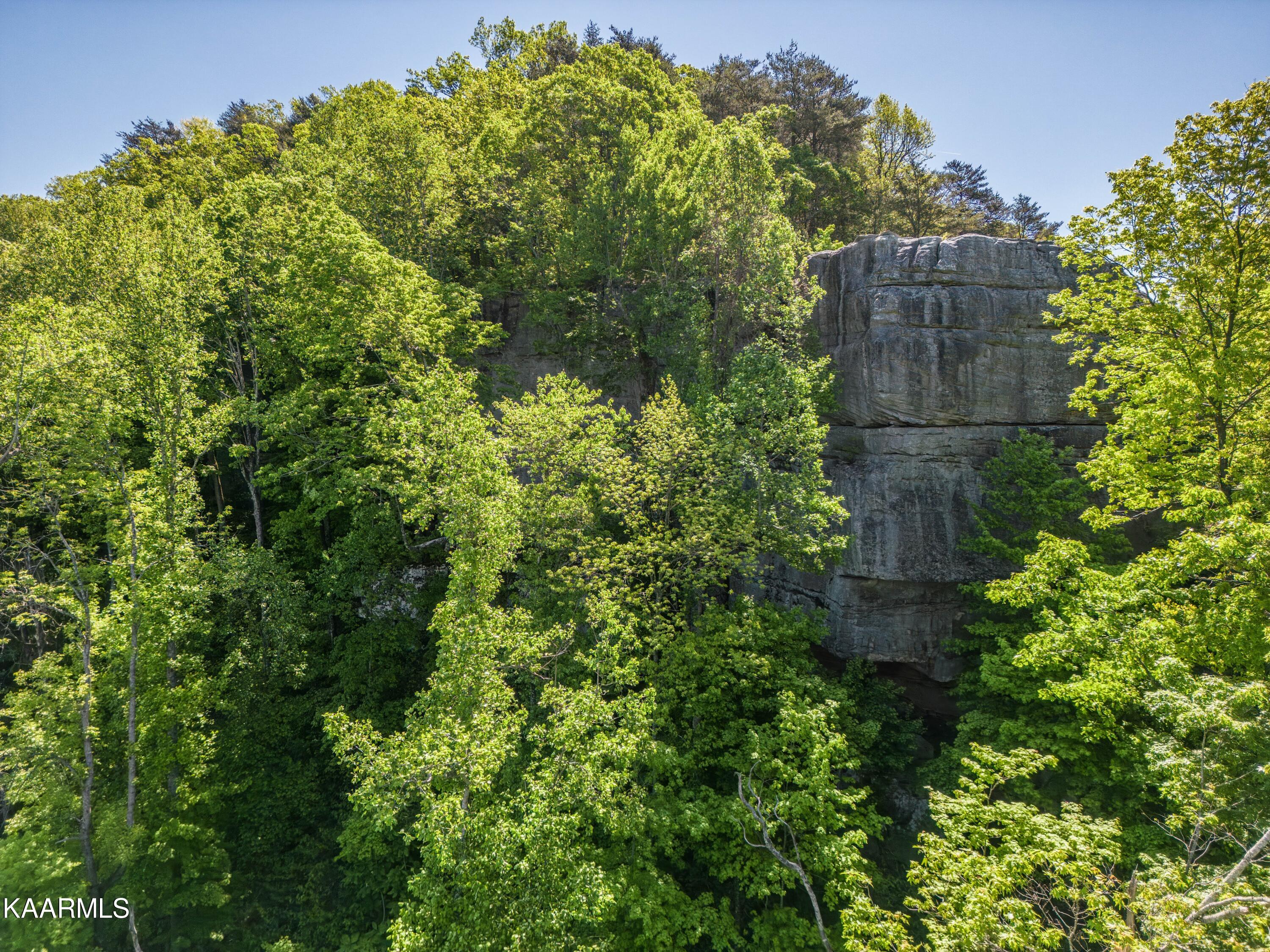 1080 Eastridge Monterey TN 38574