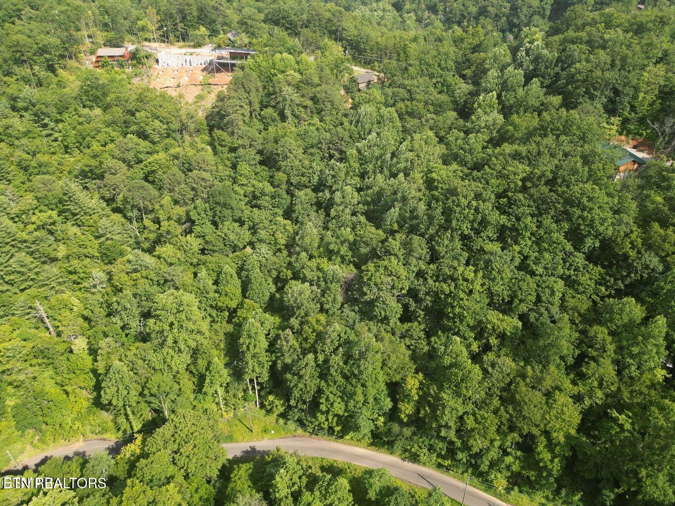 4321 Manis Hollow Road Gatlinburg TN 37738