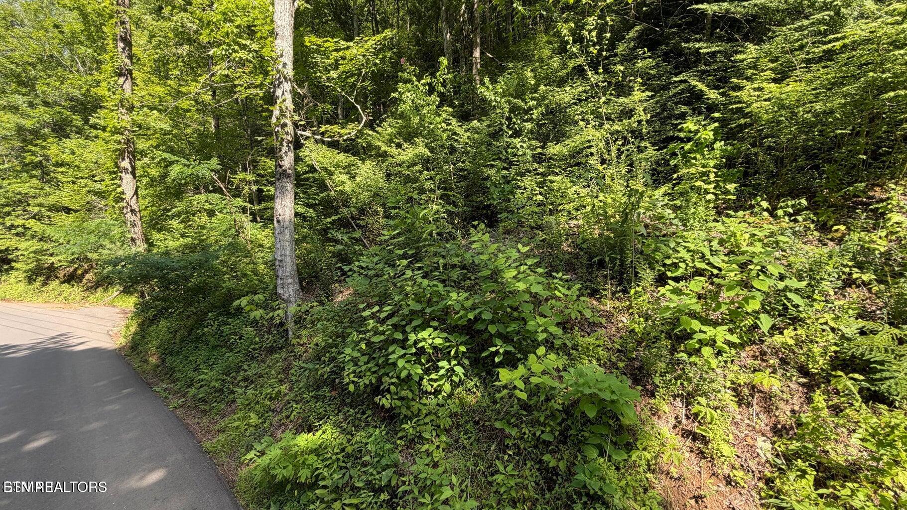 4321 Manis Hollow Road Gatlinburg TN 37738