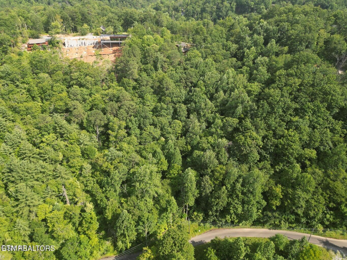 4321 Manis Hollow Road Gatlinburg TN 37738