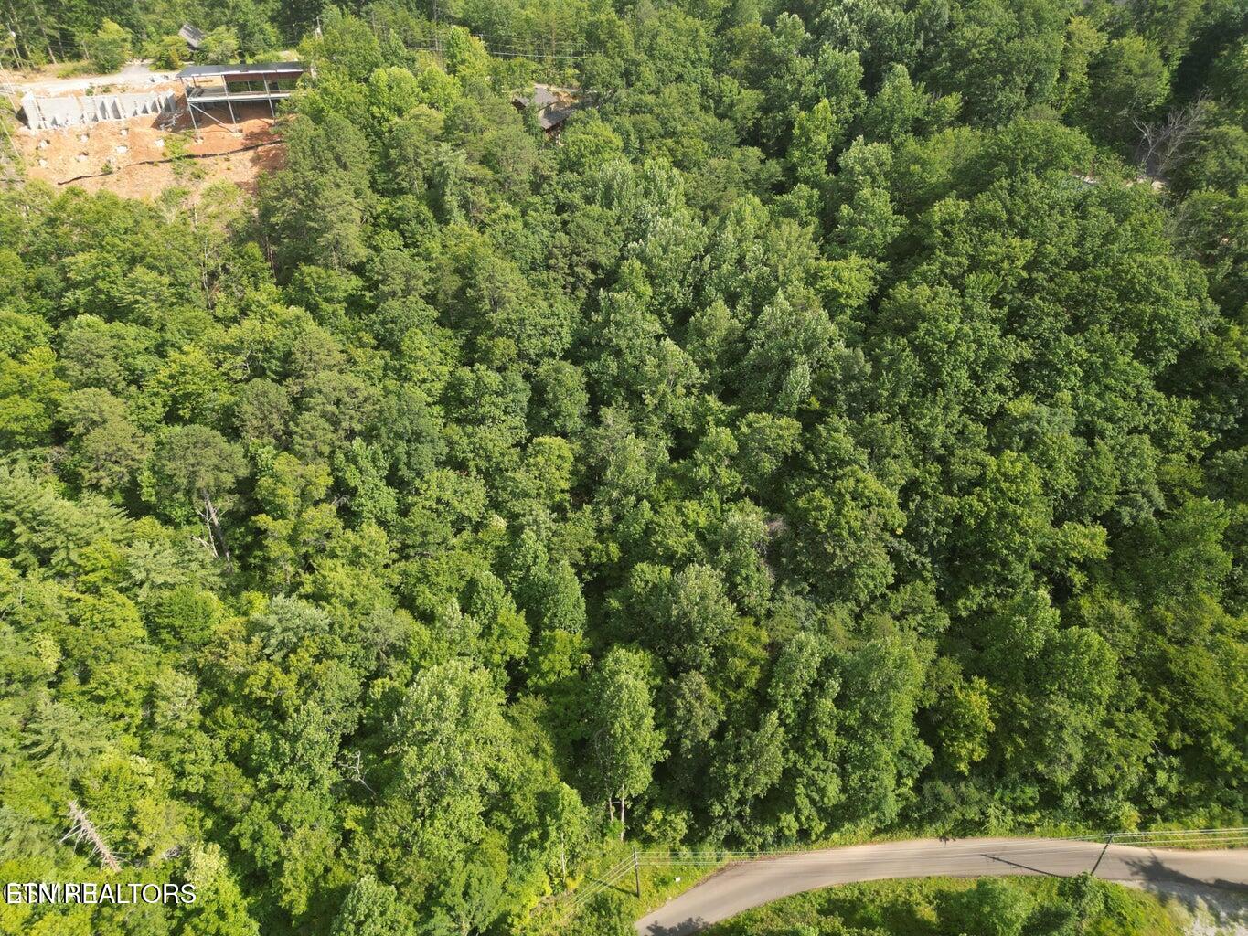 4321 Manis Hollow Road Gatlinburg TN 37738