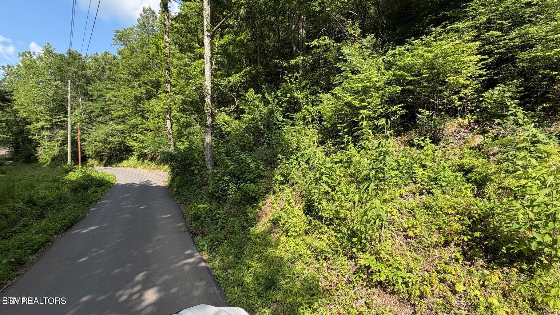 4321 Manis Hollow Road Gatlinburg TN 37738