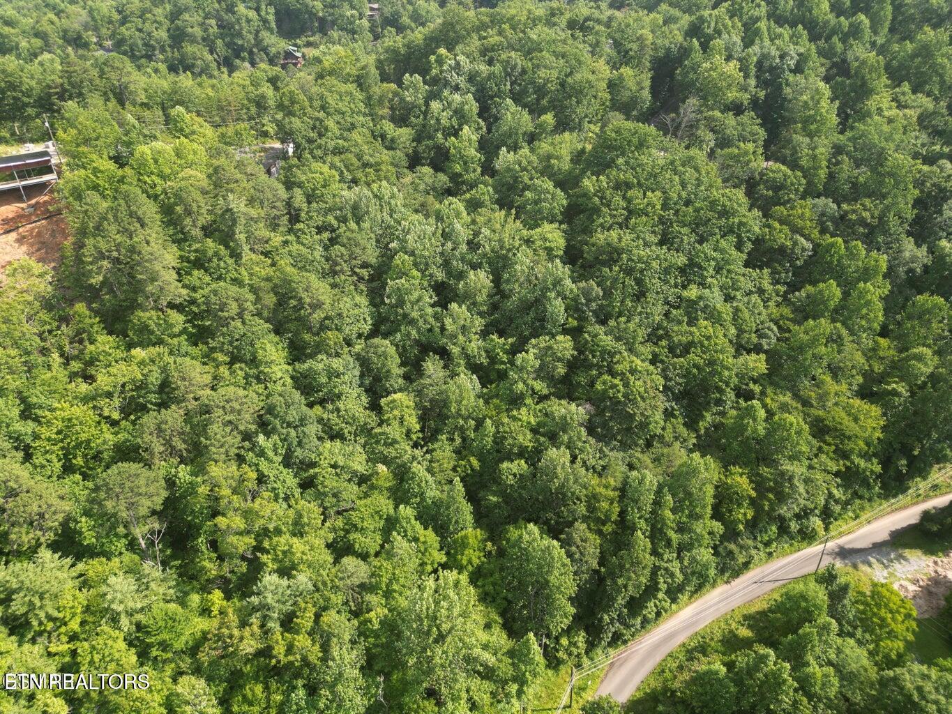 4321 Manis Hollow Road Gatlinburg TN 37738