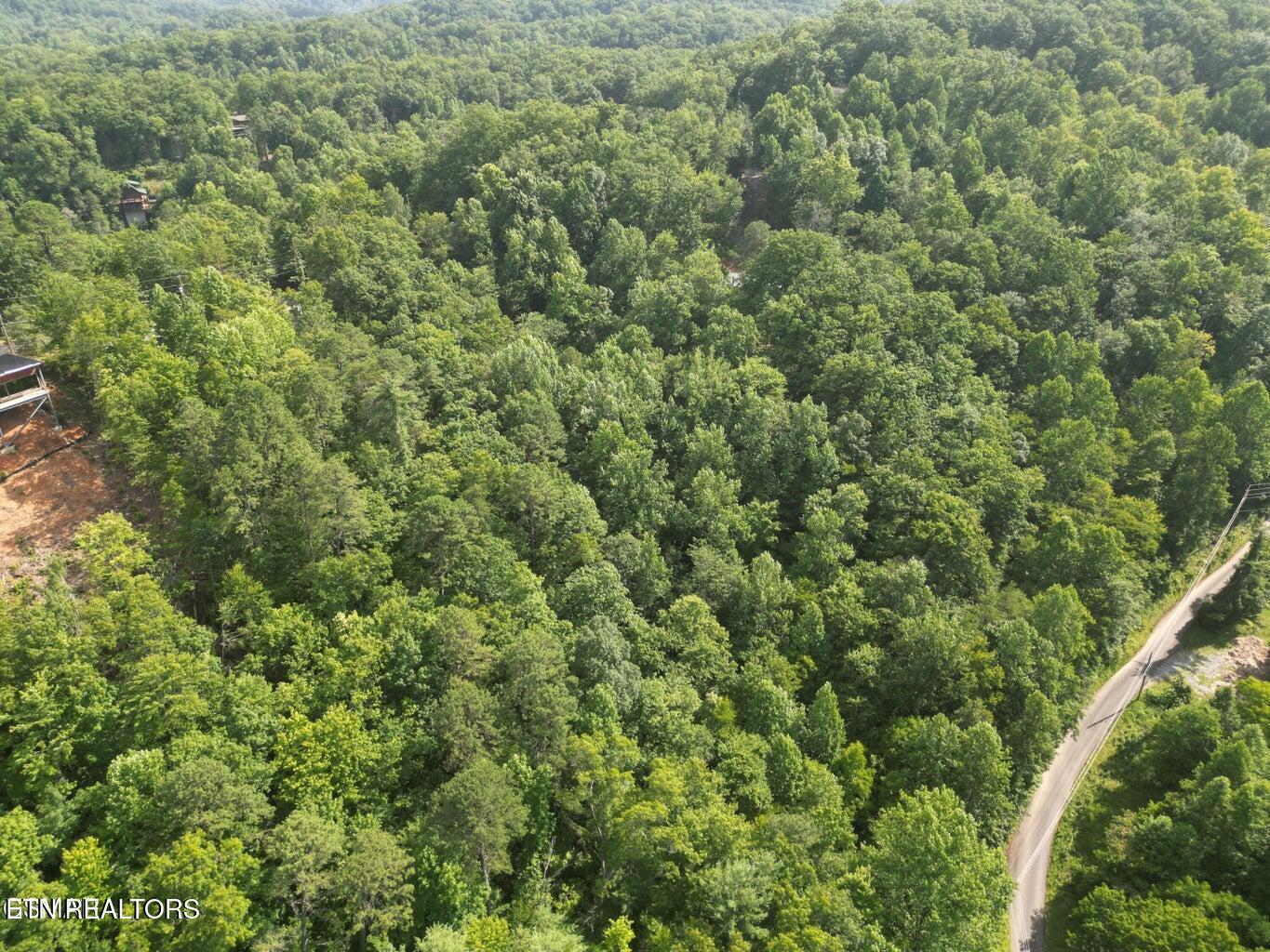 4321 Manis Hollow Road Gatlinburg TN 37738