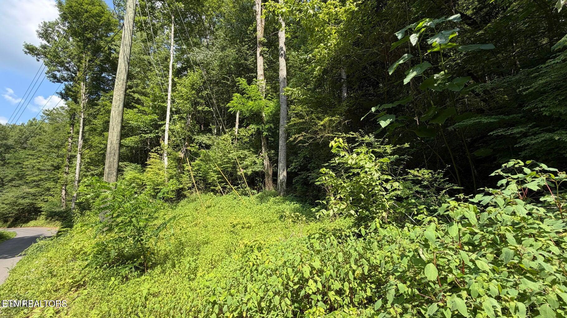 4321 Manis Hollow Road Gatlinburg TN 37738
