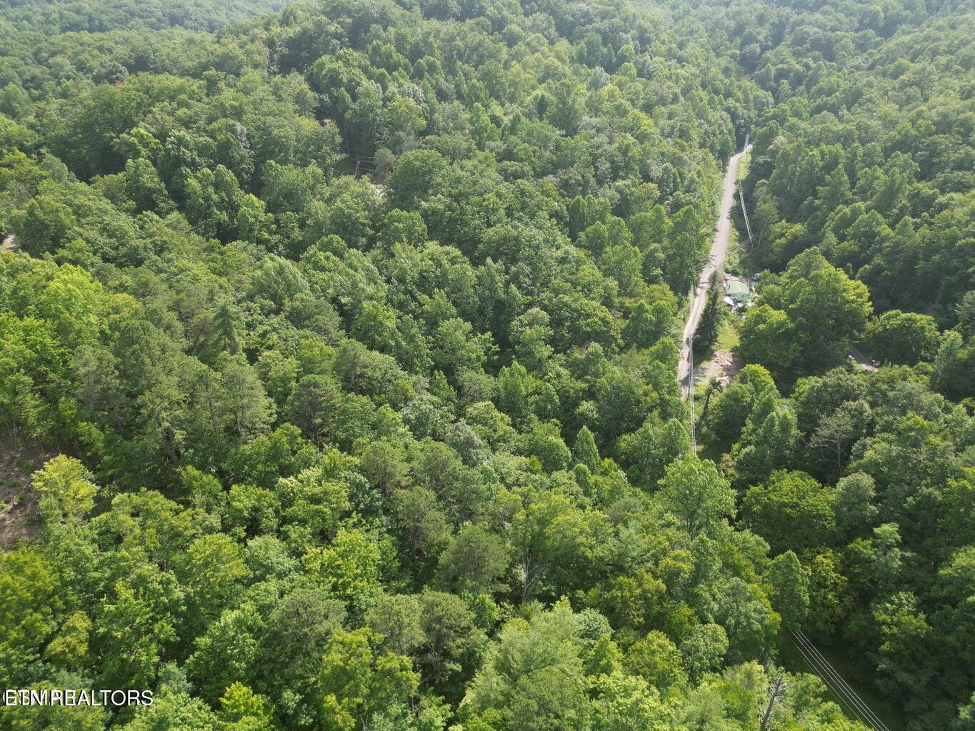 4321 Manis Hollow Road Gatlinburg TN 37738