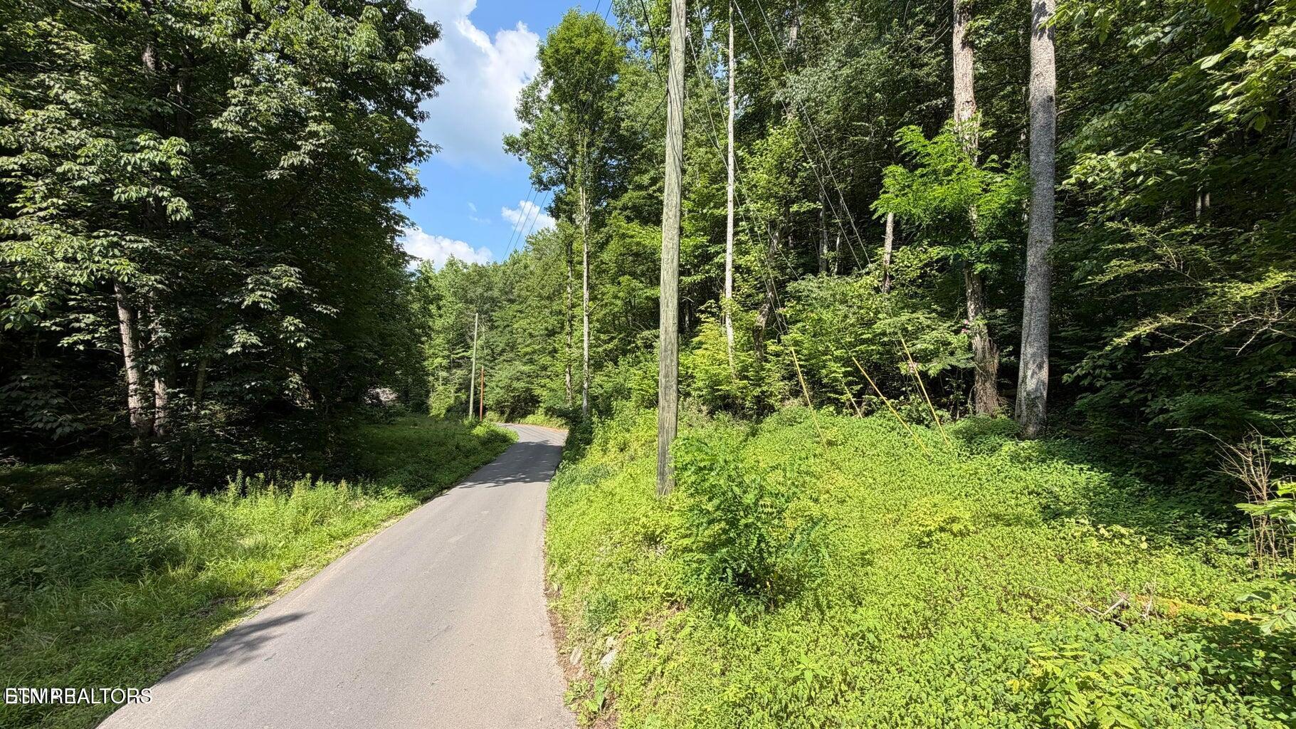 4321 Manis Hollow Road Gatlinburg TN 37738