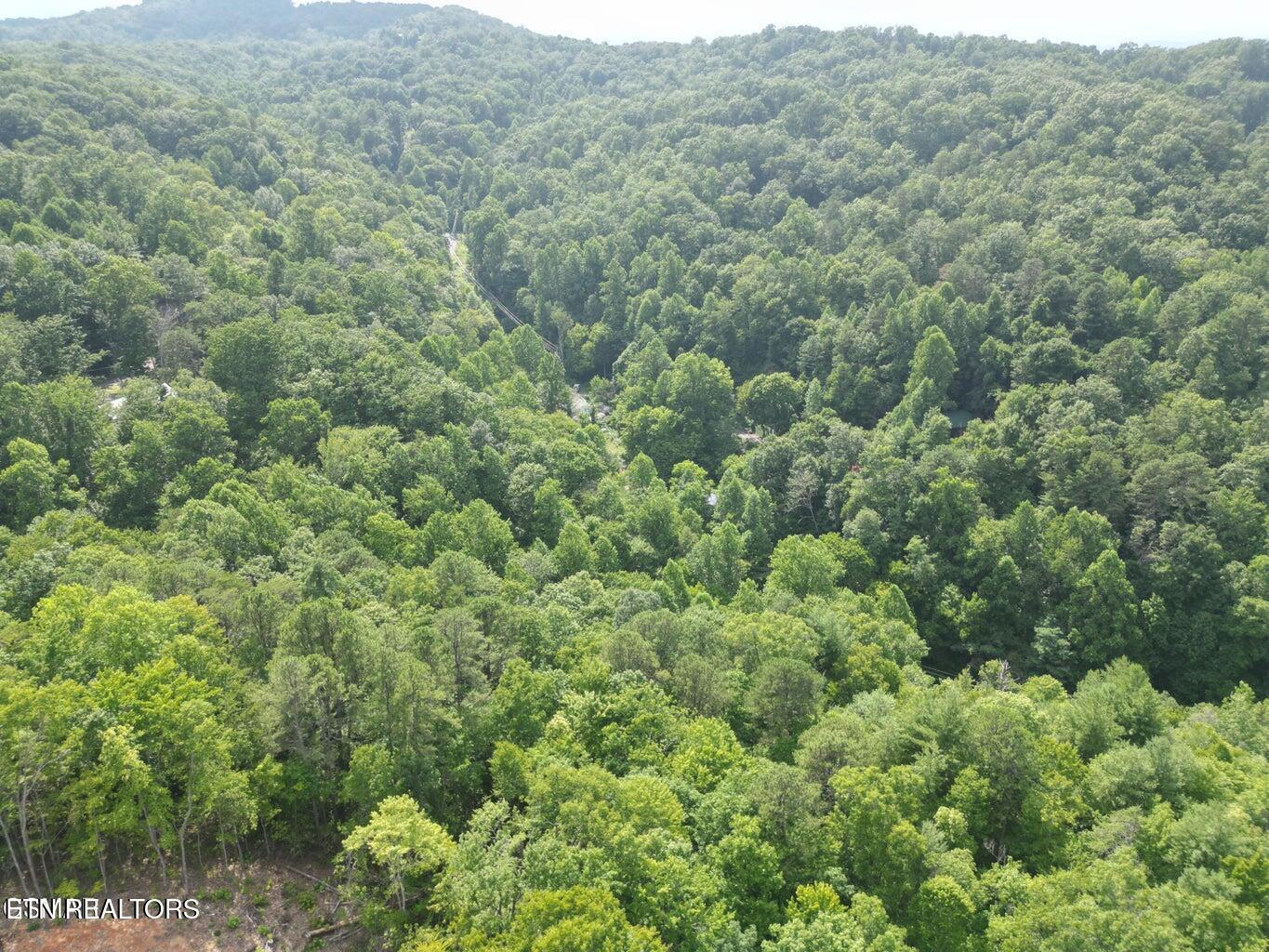 4321 Manis Hollow Road Gatlinburg TN 37738