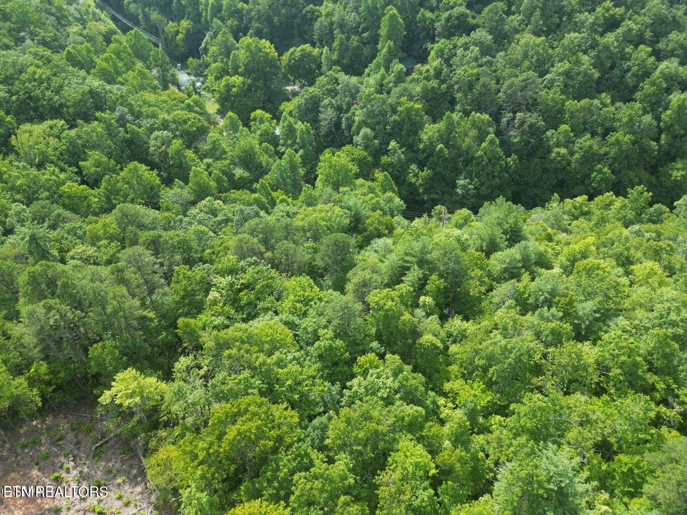 4321 Manis Hollow Road Gatlinburg TN 37738